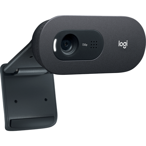 LOGITECH C505 HD Webcam - BLACK - USB- EMEA - 935 slika 3
