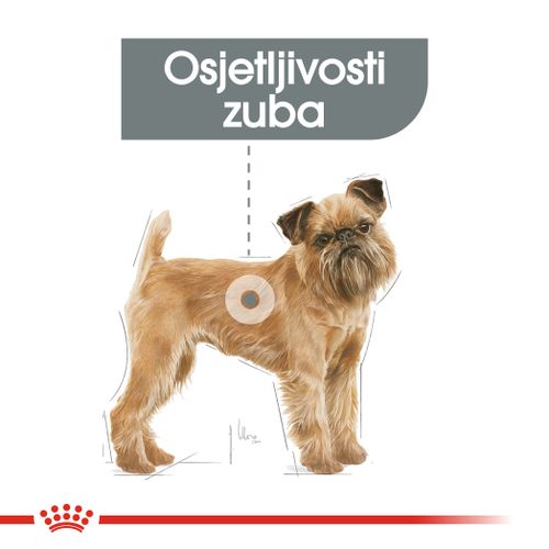 ROYAL CANIN CCN Mini Dental Care, potpuna hrana za odrasle pse malih pasmina, stariji od 10 mjeseci, 1 kg slika 5