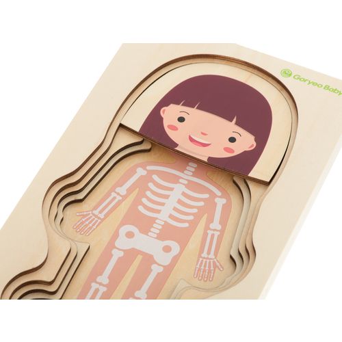 Montessori drvena slojevita slagalica za izgradnju tijela djevojčice slika 7