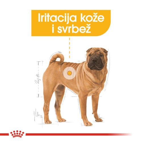 ROYAL CANIN CCN Dermacomfort Medium, potpuna hrana za pse - Za odrasle i starije pse srednje velikih pasmina (od 11 do 25 kg) - Stariji od 12 mjeseci - Psi skloni iritaciji kože i češanju, 3 kg slika 5