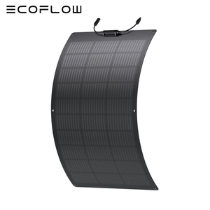 EcoFlow 100W Solar Panel (Fleksibilni)