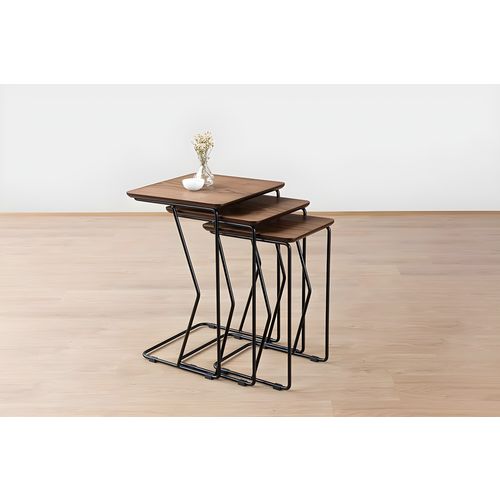 Ren - Walnut Walnut Nesting Table (3 Pieces) slika 3