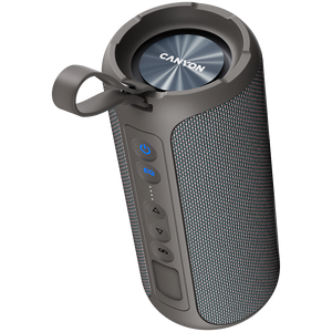 CANYON OnMove 15, Bluetooth speaker,Beige, IPX6,2*20W,7.4V 2600mah battery, EQ,TWS,AUX,Hand-free