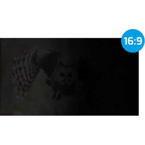Natec NFP-1477 OWL, Privacy Filter for 23.8" Screen, 16:9, 528 x 297 mm slika 1