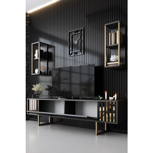 Woody Fashion Komoda za TV, Gold Line - Anthracite, Black slika 3