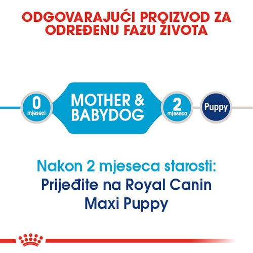 ROYAL CANIN SHN Maxi Starter, potpuna hrana za pse, specijalno za kuje  velikih pasmina (26-44 kg) i njihove štence, 15 kg slika 8