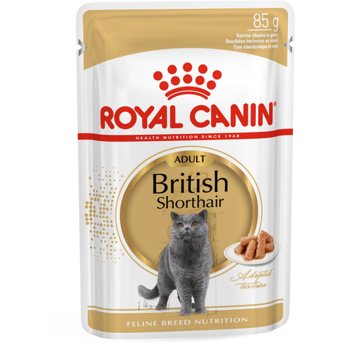 ROYAL CANIN FBN British Shorthair, potpuna i uravnotežena mokra hrana u umaku za odrasle mačke, specijalno za britanske krtkodlake mačke starije od 12 mjeseci, 12x85 g slika 1