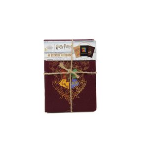 BLUE SKY HARRY POTTER A6 NOTEBOOKS 3PK - COLOURFUL CREST