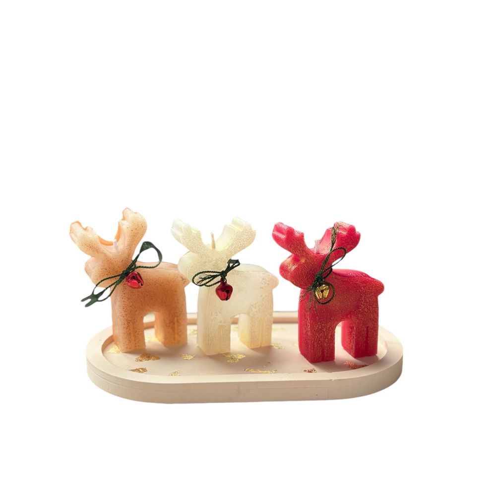 Candle set (4 pieces) Christmas Candle Set3, colour: multicolor slika 2