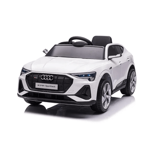 Master Auto na akumulator Audi 26508/Bijeli