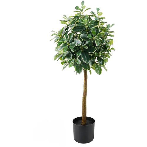 Lilium dekorativno stablo lagurus/šeflera 90cm 567285 slika 1