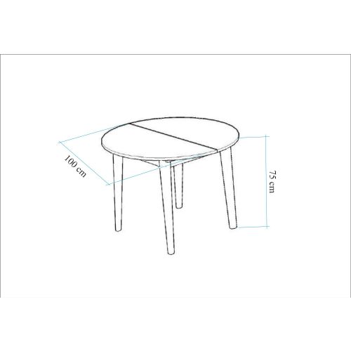 Vina 0701 - Atlantic Pine, Grey Atlantic Pine
Grey Extendable Dining Table & Chairs Set (3 Pieces) slika 9