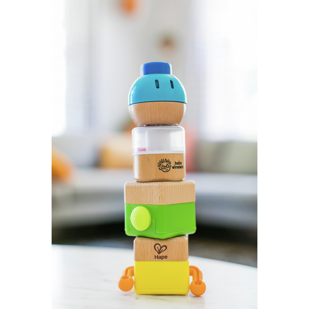 Hape Senzorni set igračka Four Fundamentals 800851  slika 3