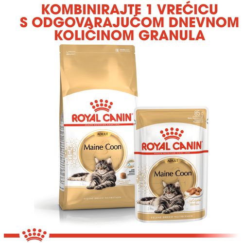 ROYAL CANIN FBN Maine Coon, potpuna i uravnotežena hrana za mačke, specijalno za odrasle mačke pasmine Maine Coon starije od 15 mjeseci, 4 kg slika 2