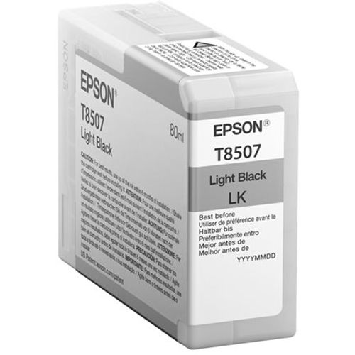 EPSON Singlepack Light Black T850700 C13T850700 slika 1