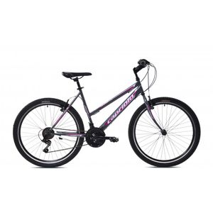 Capriolo bicikl MTB PASSION L 26"/18HT sivo