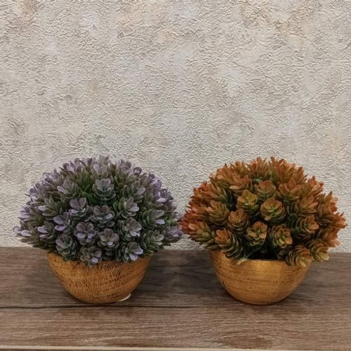 Cvet u saksiji - SUCCULENT HX0461 - N38 slika 1