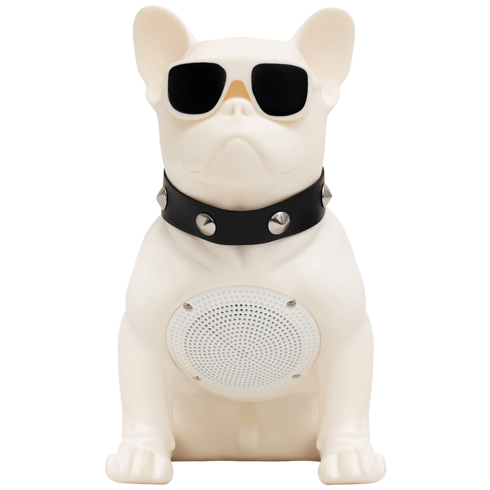 SAL Zvučnik bežični, Bluetooth, FM radio, USB, 5W - BT DOG slika 2
