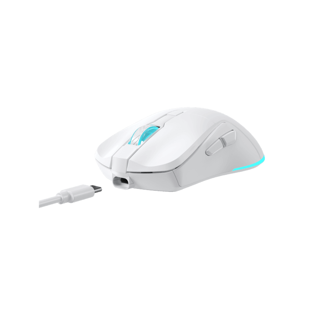 Baracuda Miš BGM-122 TURTLE, bijeli slika 6