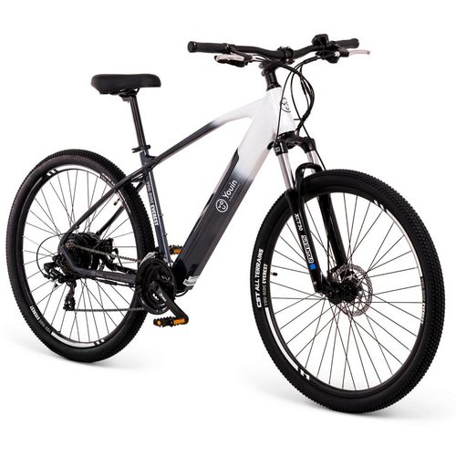 Xplorer E-bike MTB EVEREST 29" R19.5" slika 4