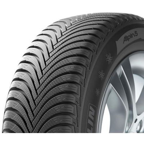 Michelin 205/55R17 91H ALPIN 5 ZP slika 1