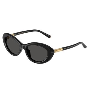 Ženske Sunčane naočale Dolce & Gabbana Dolce & Gabbana DG4519 Black