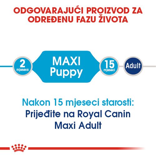 ROYAL CANIN SHN Maxi PUPPY, potpuna hrana za pse, specijalno za štence velikih pasmina (konačne težine od 26 do 44 kg)  do 15 mjeseci starosti, 1 kg slika 8