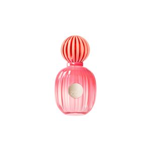 Antonio Banderas The Icon Splendid Edp 50ml