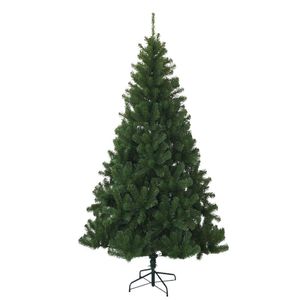 Tree Nordmann King 210 cm visina - novogodišnja jelka / drvce