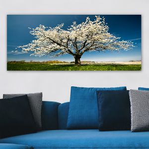 YTY1233464_50120 Šareno Ukrasno Platno za Slikanje