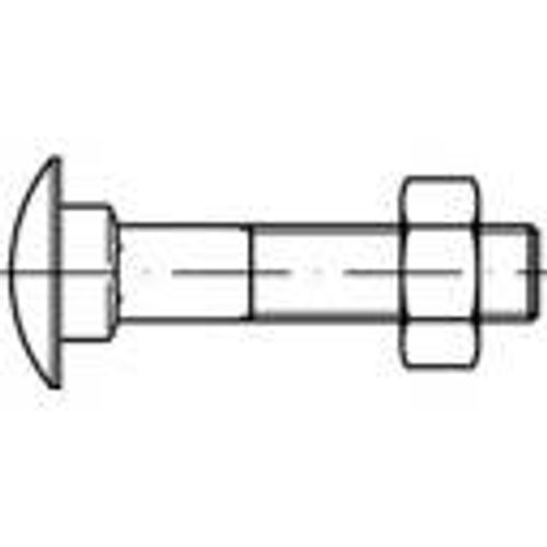 TOOLCRAFT TO-5448246 plosnati okrugli vijak M5 30 mm kvadratni DIN 603 mjed 100 St. slika 1