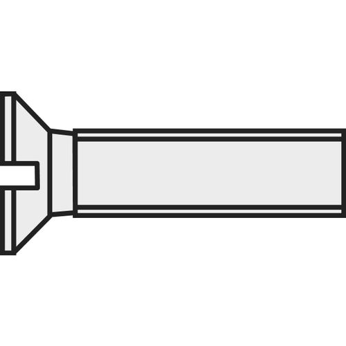 TOOLCRAFT 839955 upušteni vijci M3 20 mm utor DIN 963 plastika, poliamid 10 St. slika 1