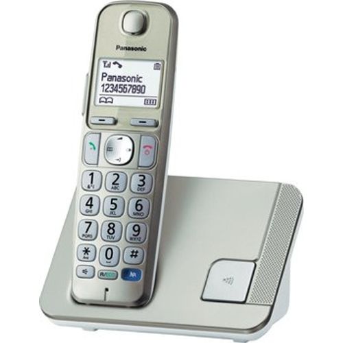 Bežični telefon Panasonic KX-TGE210FXN slika 1