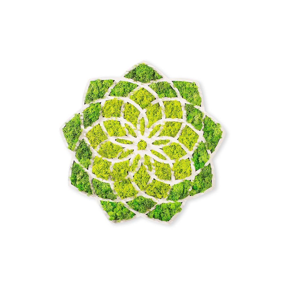 Daisy Green Bijeli Dekorativni Zidni Ukras slika 4