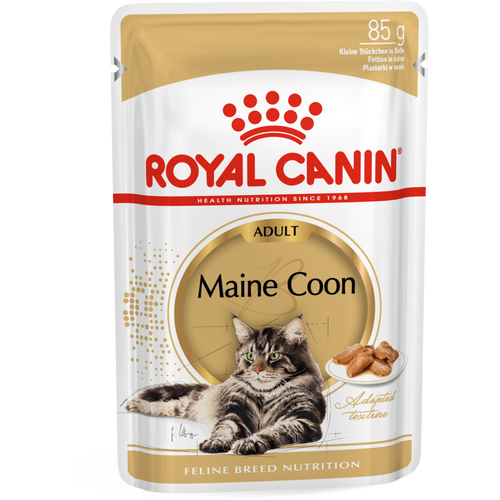 ROYAL CANIN FBN Maine Coon, potpuna i uravnotežena mokra hrana u umaku za mačke, specijalno za odrasle mačke pasmine Maine Coon starije od 15 mjeseci, 12x85 g slika 1