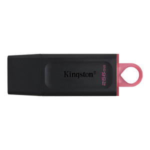 Kingston USB Flash memorija 256GB DT Exodia USB 3.2 DTX/256GB crno-rozi