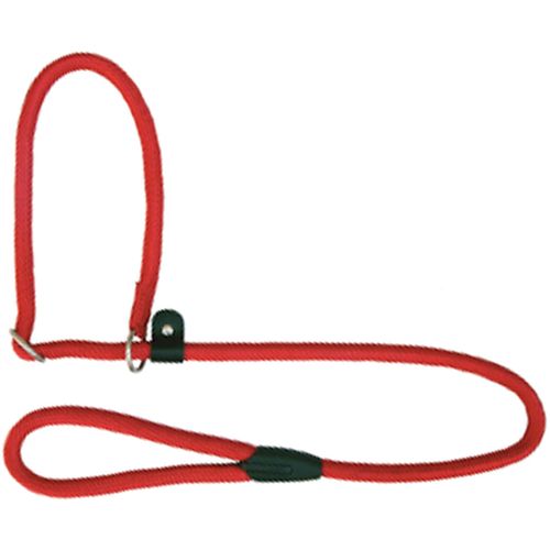 Freedog Vodilica s ogrlicom Nylon, okrugla, crvena, 10mm x 120cm slika 1
