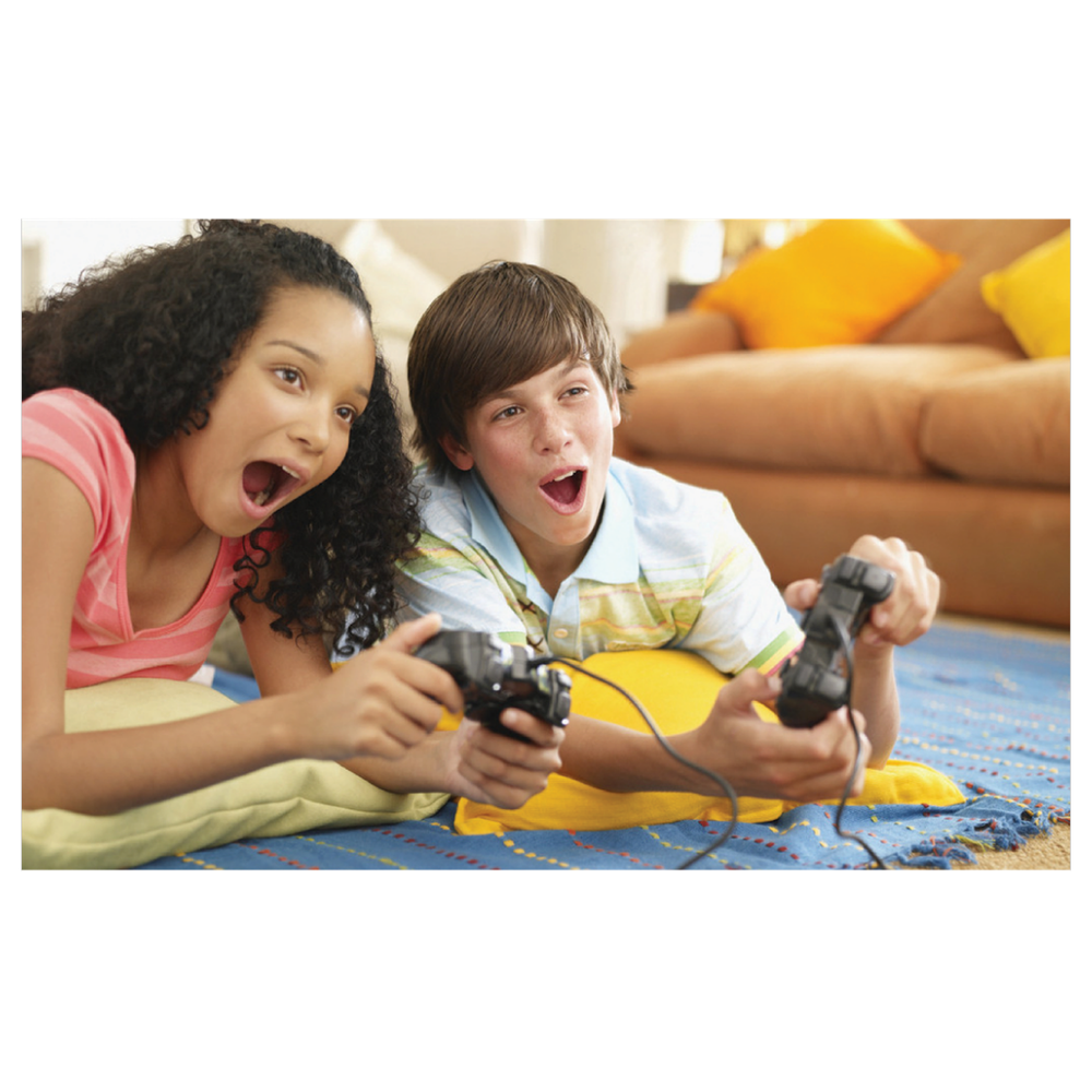 Connect XL Gamepad za PC, 14 tipki/tastera (8-way), konekcija USB - CXL-GP100 slika 4