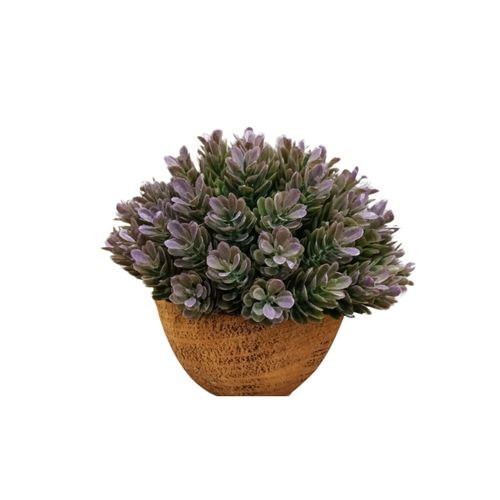 Cvet u saksiji - SUCCULENT HX0461 - N38 slika 2