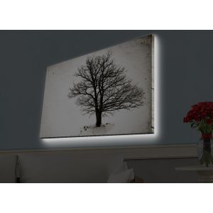 Wallity Slika dekorativna platno sa LED rasvjetom, 4570HDACT-056