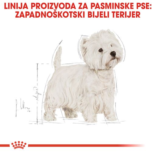 ROYAL CANIN BHN West Highland White Terrier Adult, potpuna hrana specijalno prilagođena potrebama odraslih i starijih zapadnoškotskih bijelih terijera, 3 kg slika 4