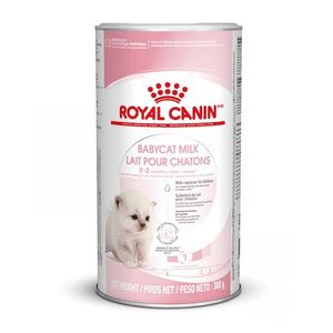 ROYAL CANIN FHN Babycat Milk, potpuna hrana za mačke - Zamjensko mlijeko za mačiće od rođenja do odvikavanja od sisanja (0-2 mjeseca), 300 g