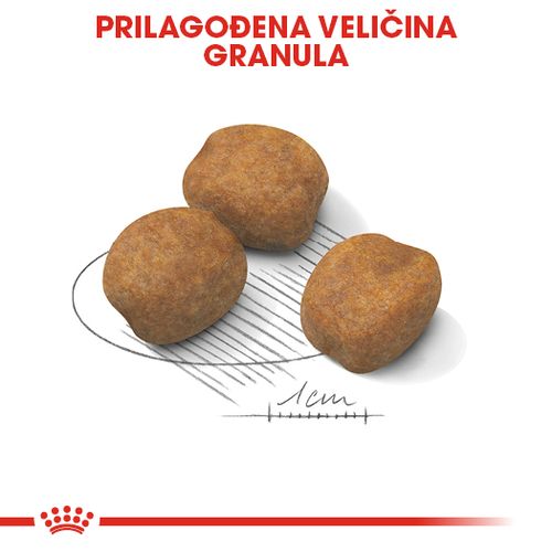 ROYAL CANIN SHN Giant PUPPY, potpuna hrana za pse, specijalno za štence divovskih pasmina (konačne težine > 45 kg)  do 8 mjeseci starosti, 3,5 kg slika 6