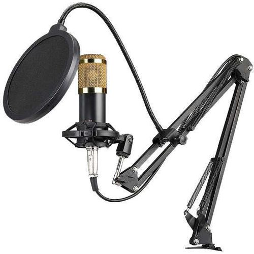 Stadroom - Profesionalni studijski mikrofon slika 1