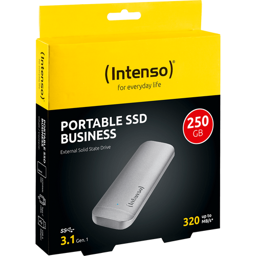 (Intenso) Eksterni SSD, kapacitet 250GB, USB 3.1 - SSD External 250GB/Business slika 1