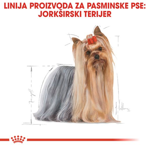 ROYAL CANIN BHN Yorkshire Terrier Adult, potpuna hrana specijalno prilagođena potreba ma odraslih i starijih jorkširskih terijera, 500 g slika 4