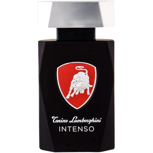 Tonino Lamborghini Intenso Eau De Toilette 125 ml (man) slika 1