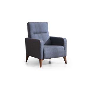 Vive - Anthracite Anthracite Wing Chair