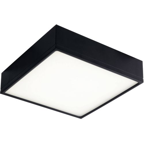 ECO-Light LED-KLIO-Q21 NER LED-KLIO-Q21 NER LED stropna svjetiljka LED   36 W crna slika 1