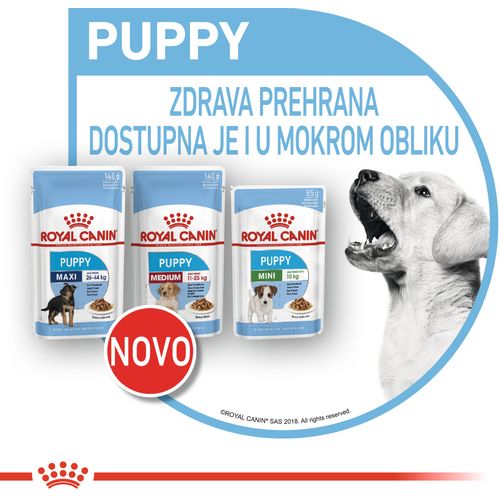 ROYAL CANIN SHN Maxi PUPPY vrećice za pse, potpuna hrana za pse, specijalno za štence velikih pasmina (konačne težine od 26 do 44 kg), do 15 mjeseci starosti, 10x140 g slika 3